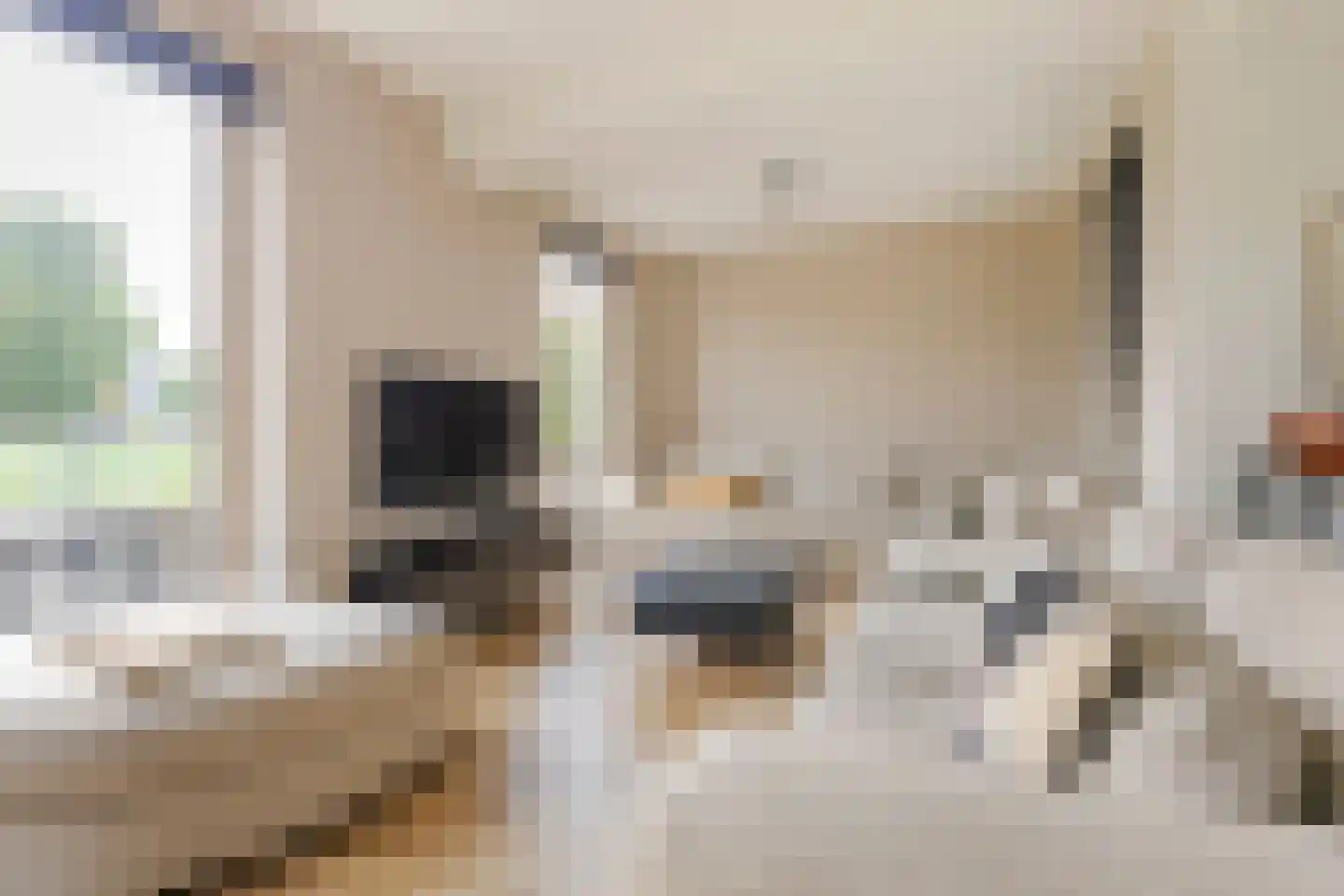 Drewerd 41 Groningen thumbnail 6