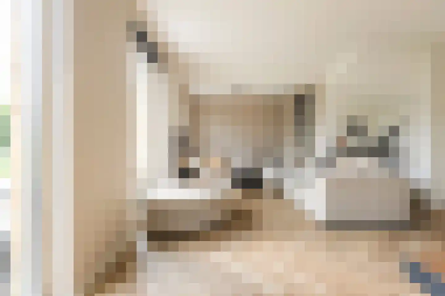 Drewerd 41 Groningen thumbnail 7