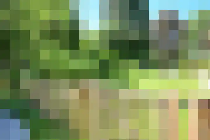 Dreyenseweg 1 Oosterbeek thumbnail 44