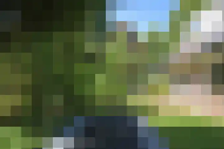 Dreyenseweg 1 Oosterbeek thumbnail 45