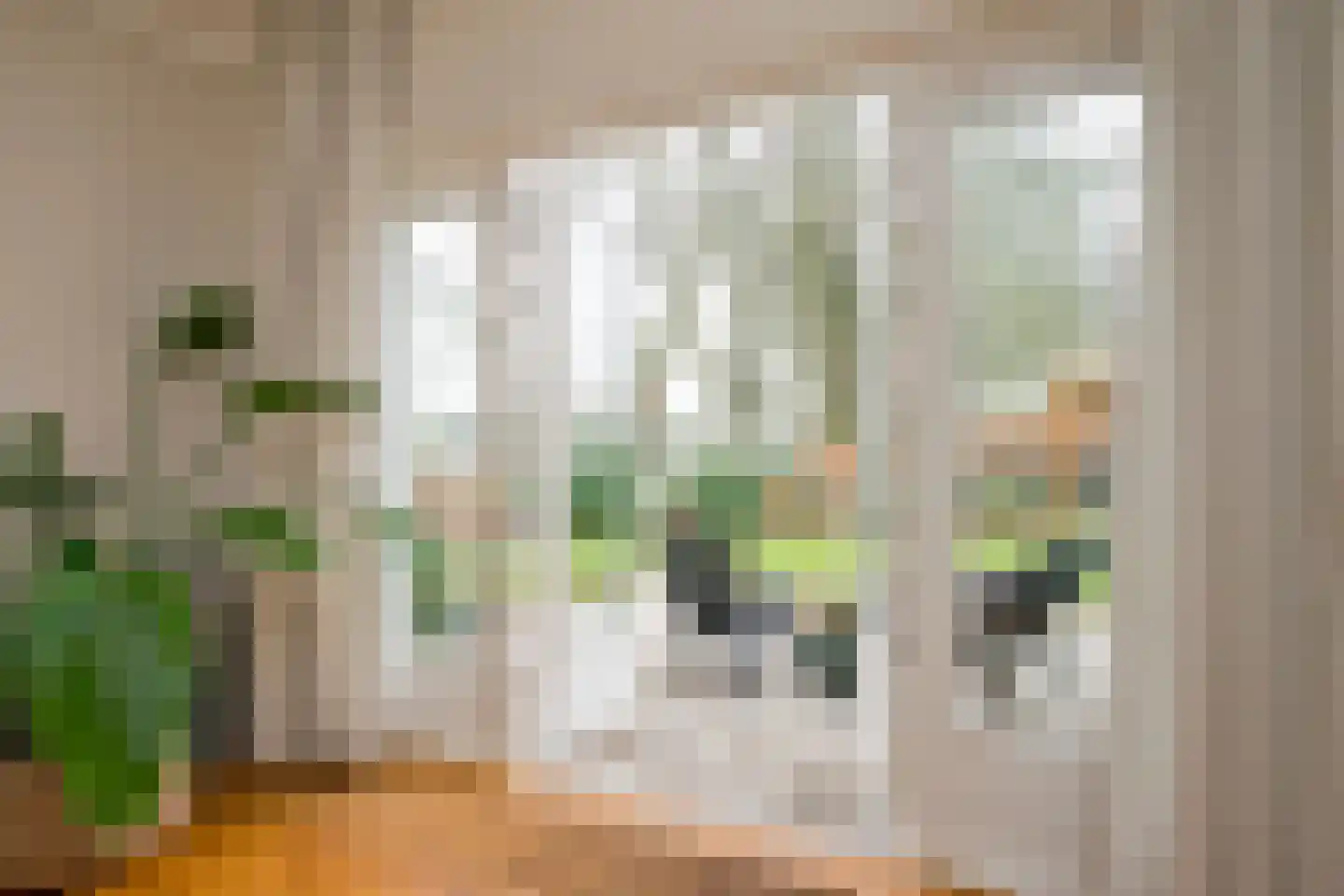 Dreyenseweg 6 Oosterbeek thumbnail 13