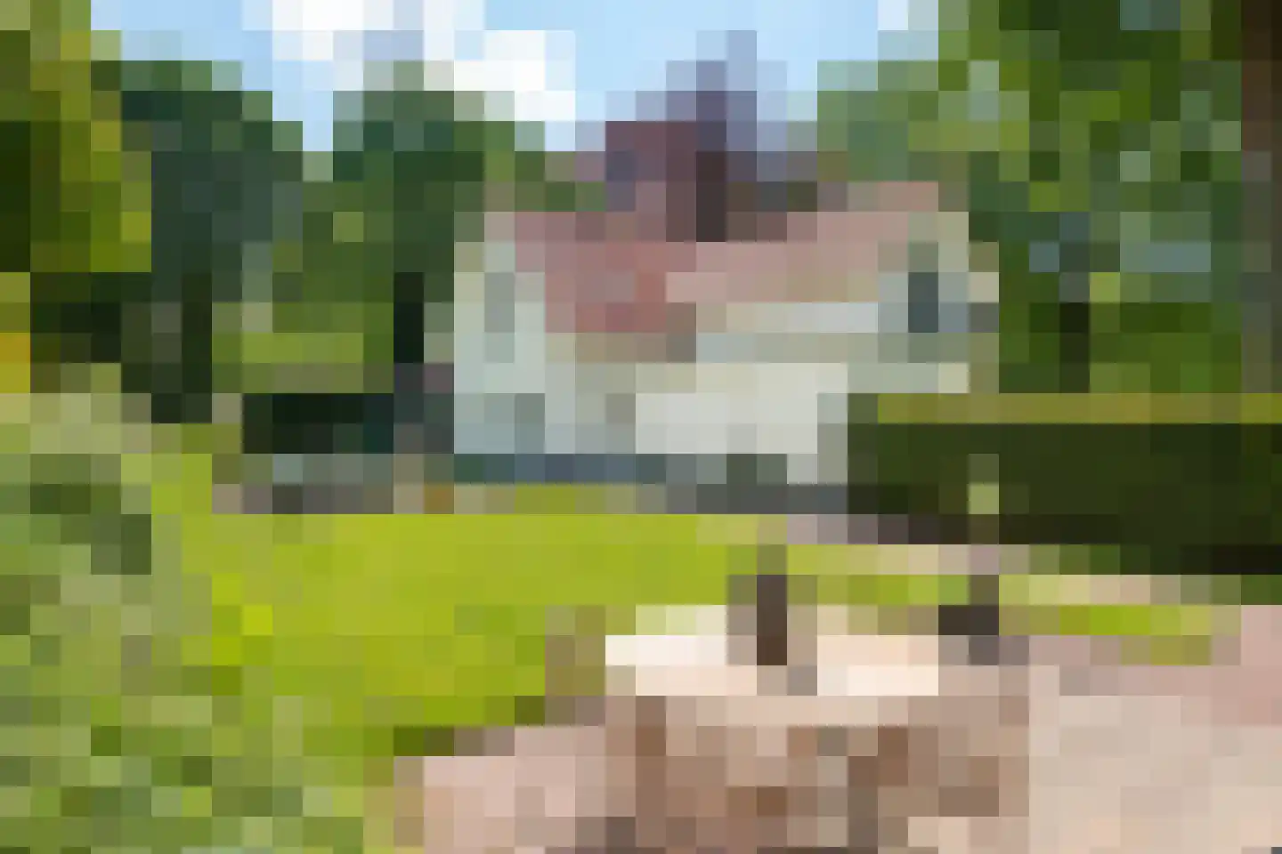 Dreyenseweg 6 Oosterbeek thumbnail 58