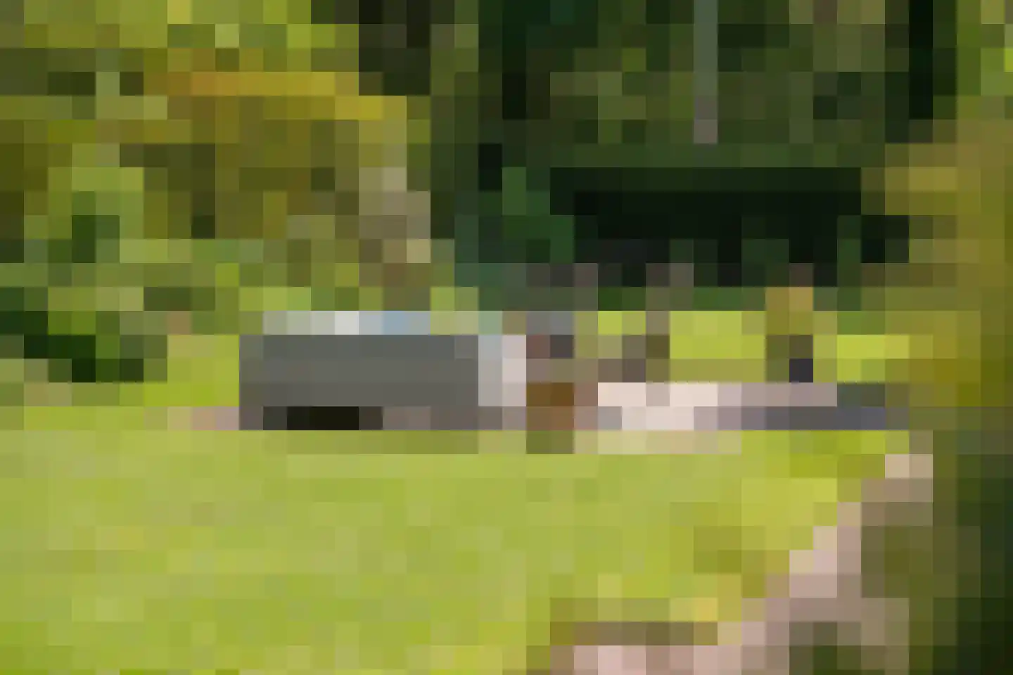 Dreyenseweg 6 Oosterbeek thumbnail 59