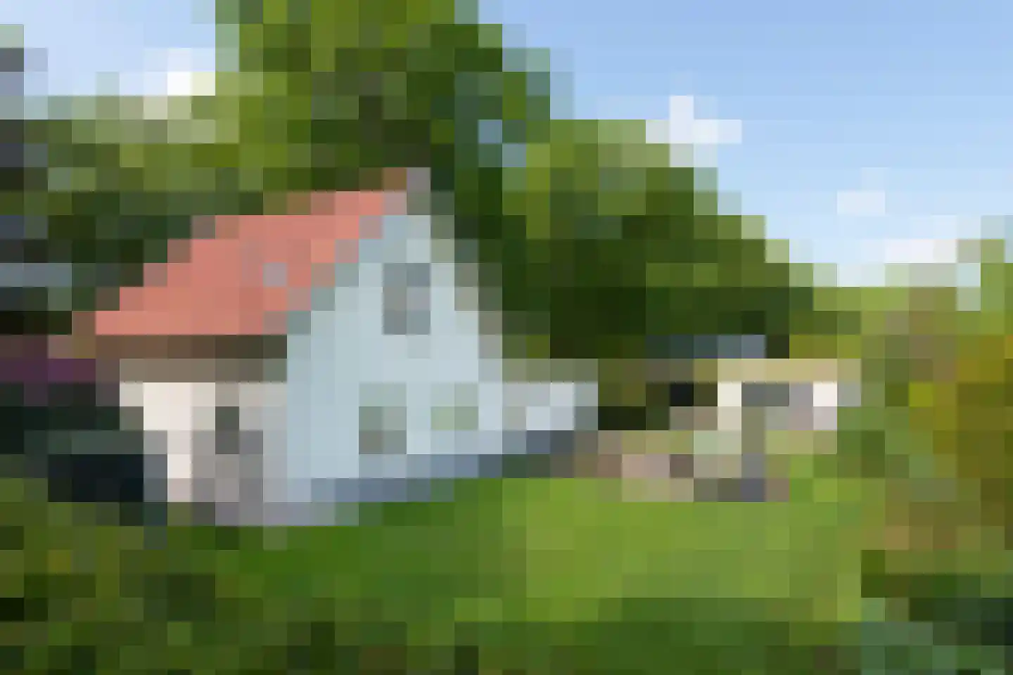 Dreyenseweg 6 Oosterbeek thumbnail 60