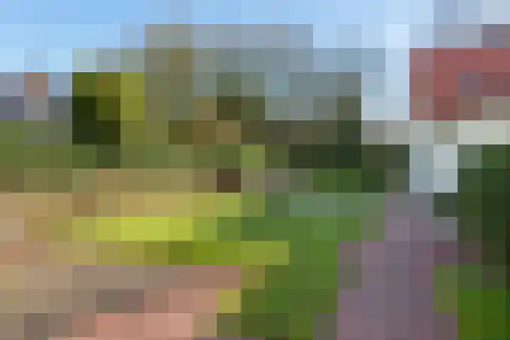 Dreyenseweg 6 Oosterbeek thumbnail 64