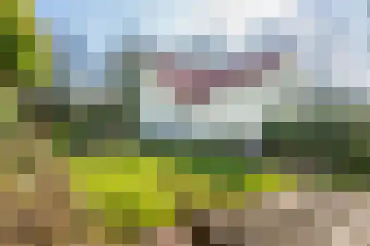 Dreyenseweg 6 Oosterbeek thumbnail 65