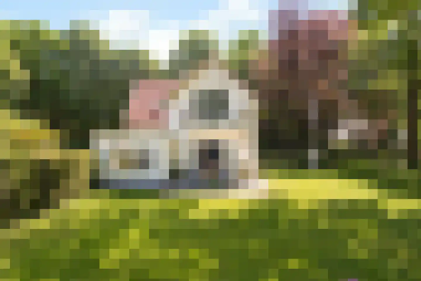 Dreyenseweg 6 Oosterbeek thumbnail 72