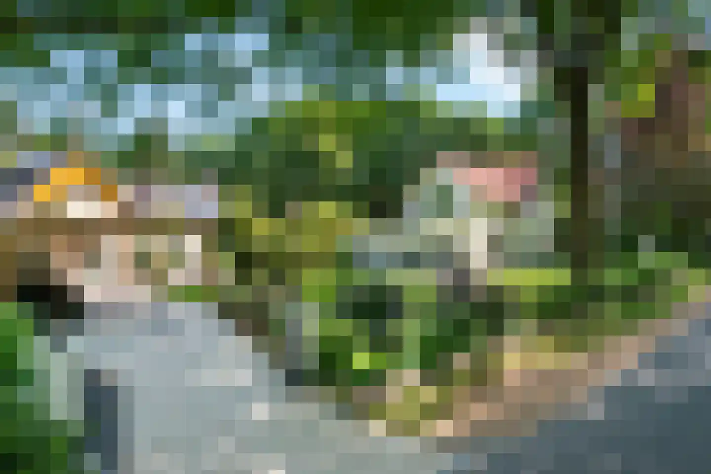 Dreyenseweg 6 Oosterbeek thumbnail 74