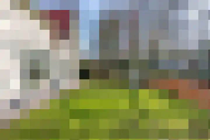 Dreyenseweg 6 Oosterbeek thumbnail 79