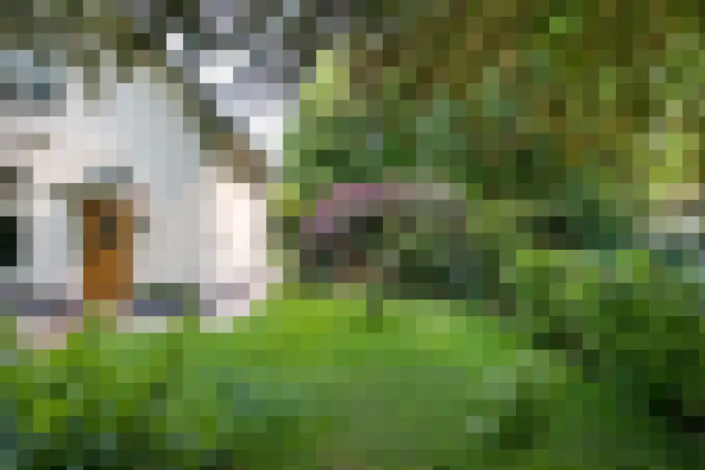 Dreyenseweg 6 Oosterbeek thumbnail 81