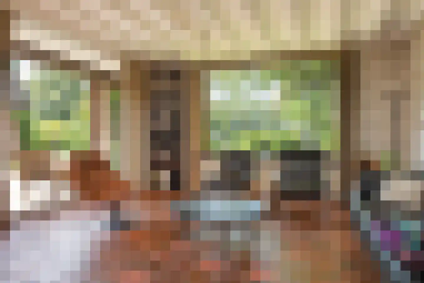 Dreyenseweg 8 A Oosterbeek thumbnail 12