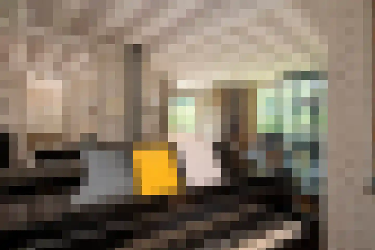 Dreyenseweg 8 A Oosterbeek thumbnail 18