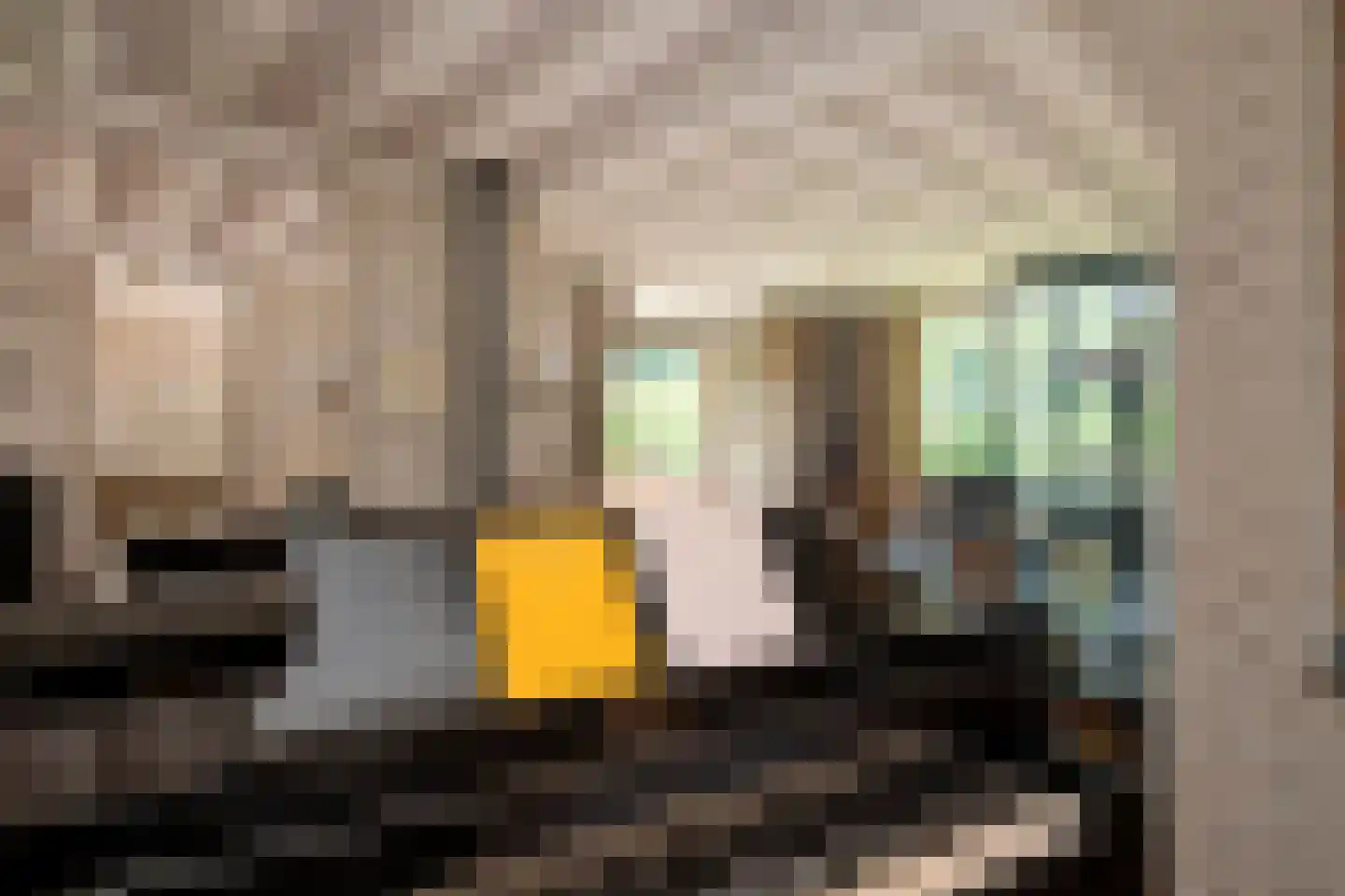 Dreyenseweg 8 A Oosterbeek thumbnail 20