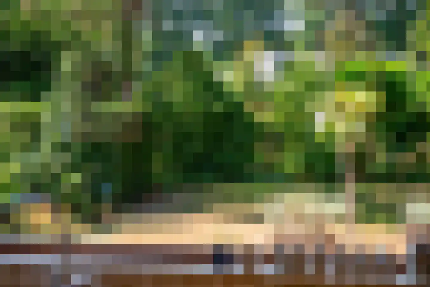 Dreyenseweg 8 A Oosterbeek thumbnail 25