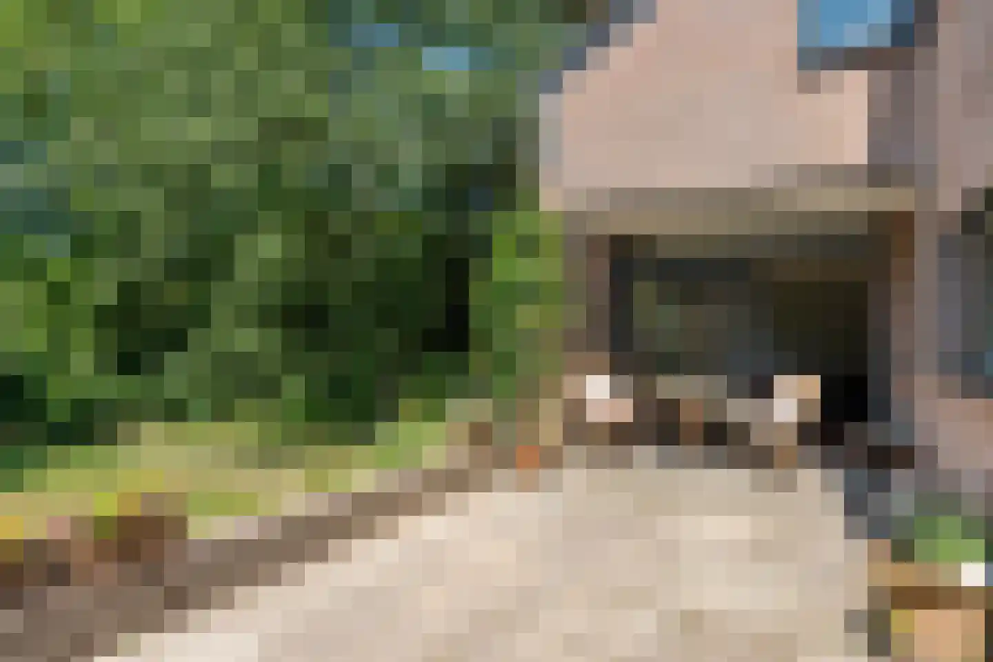 Dreyenseweg 8 A Oosterbeek thumbnail 53