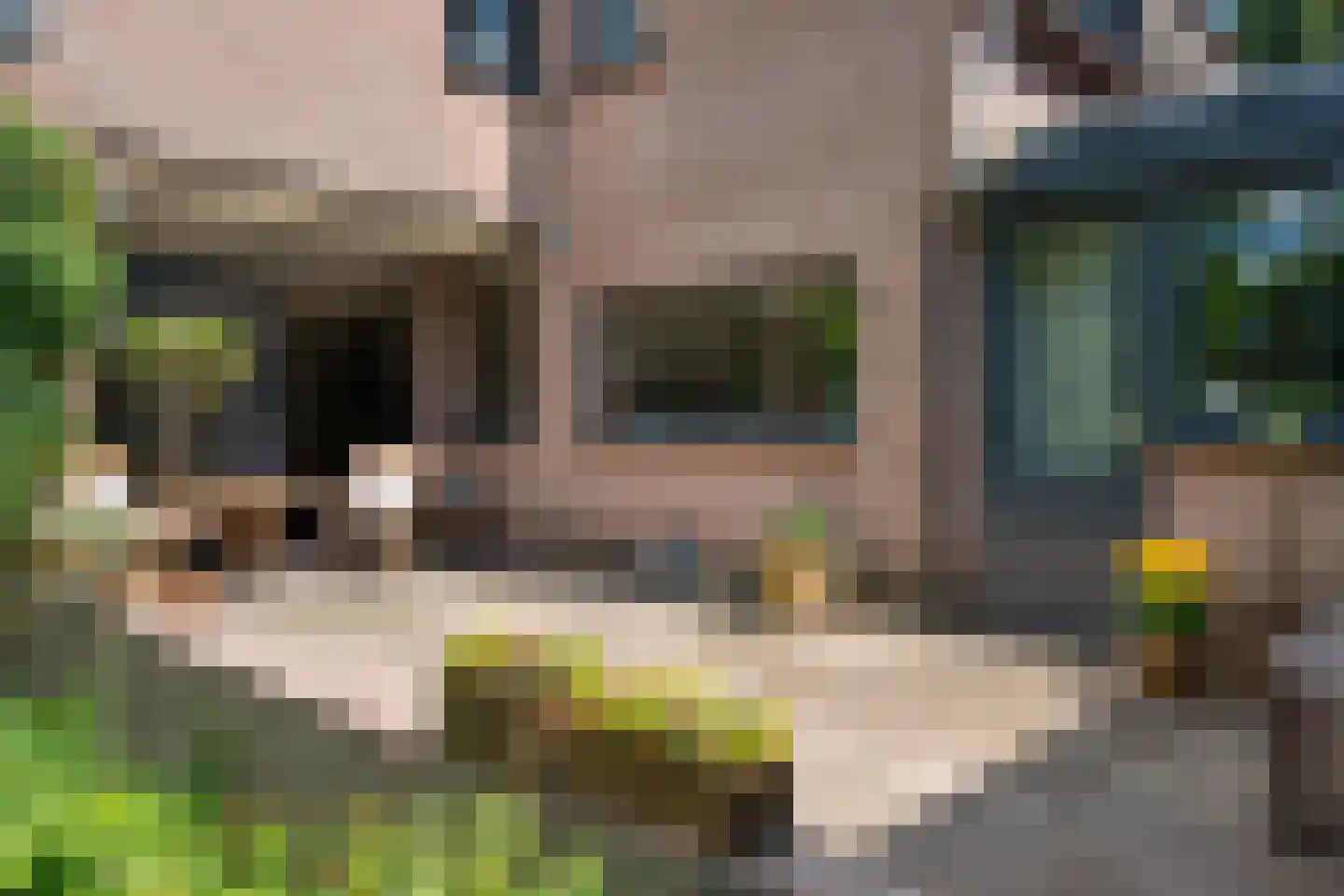 Dreyenseweg 8 A Oosterbeek thumbnail 54
