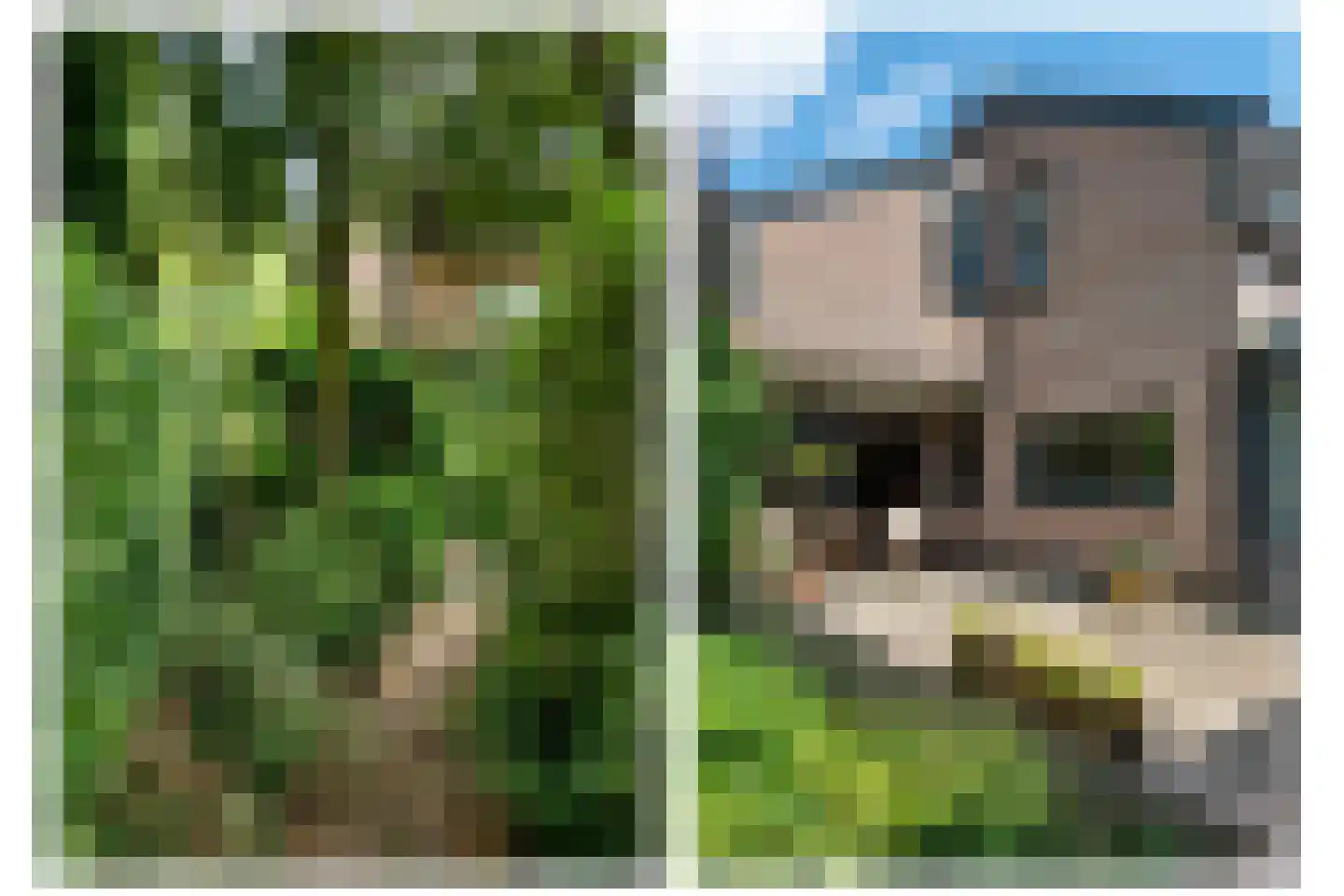 Dreyenseweg 8 A Oosterbeek thumbnail 56