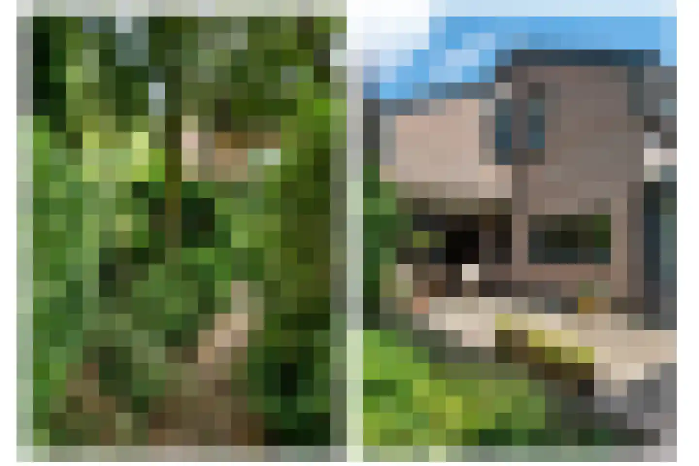 Dreyenseweg 8 A Oosterbeek thumbnail 57