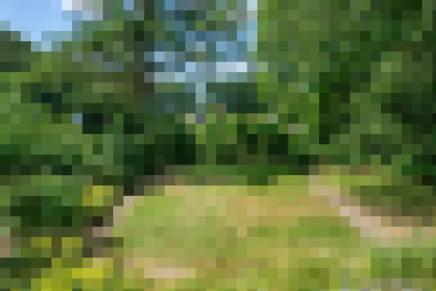 Dreyenseweg 8 A Oosterbeek thumbnail 58