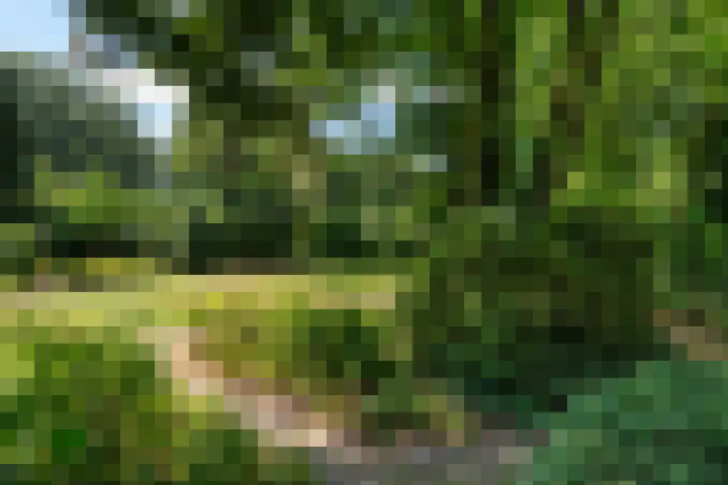Dreyenseweg 8 A Oosterbeek thumbnail 59