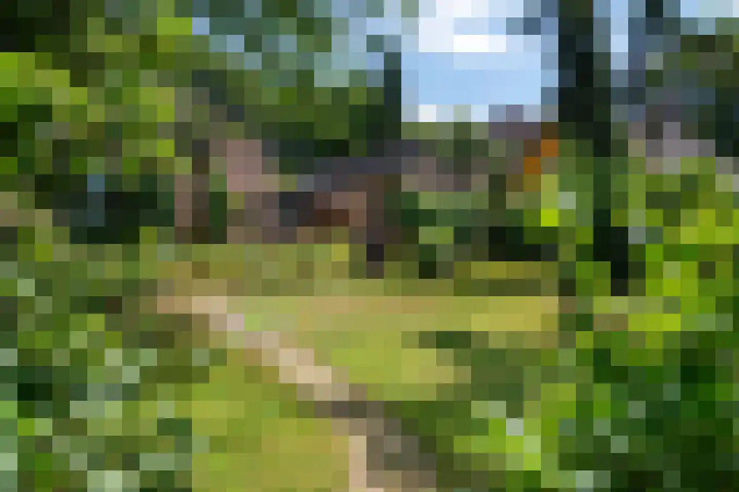 Dreyenseweg 8 A Oosterbeek thumbnail 60