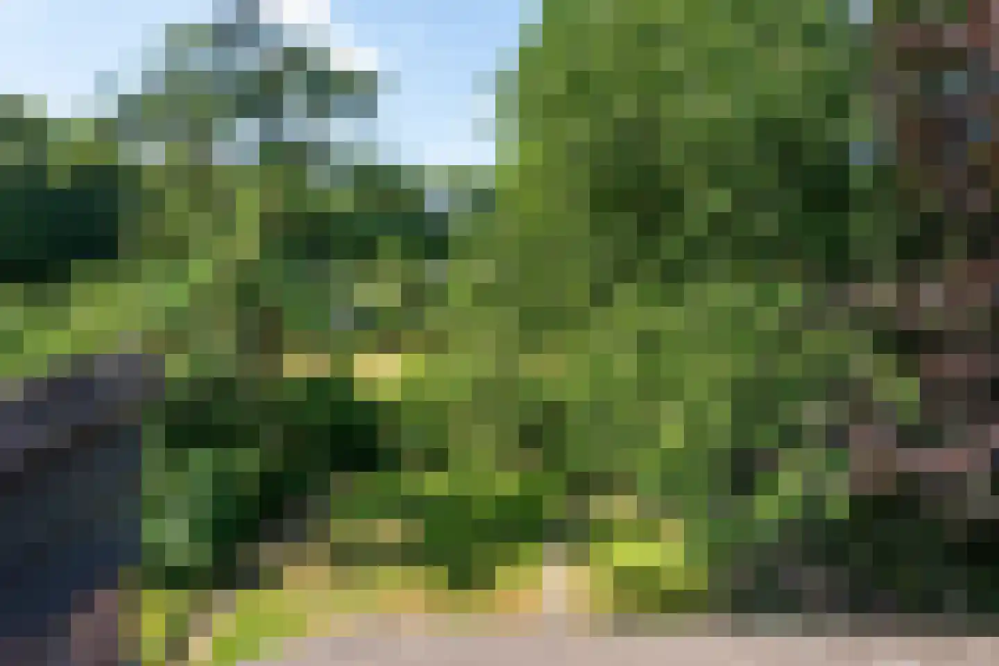 Dreyenseweg 8 A Oosterbeek thumbnail 62
