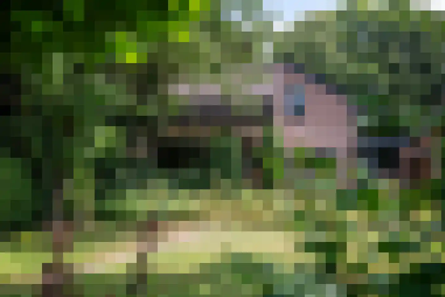 Dreyenseweg 8 A Oosterbeek thumbnail 63