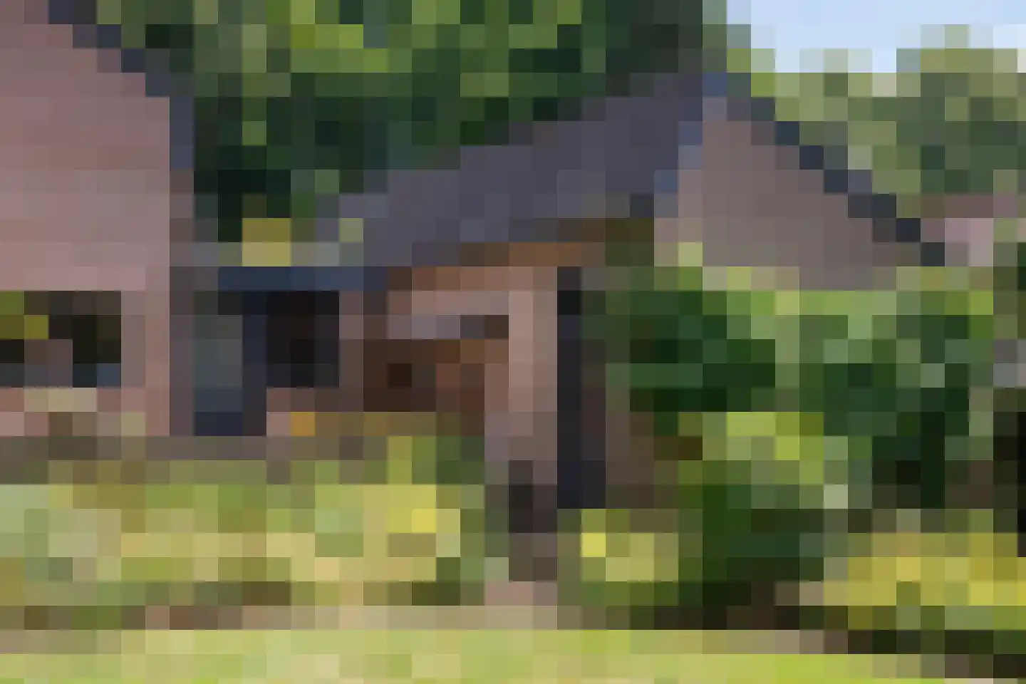 Dreyenseweg 8 A Oosterbeek thumbnail 64