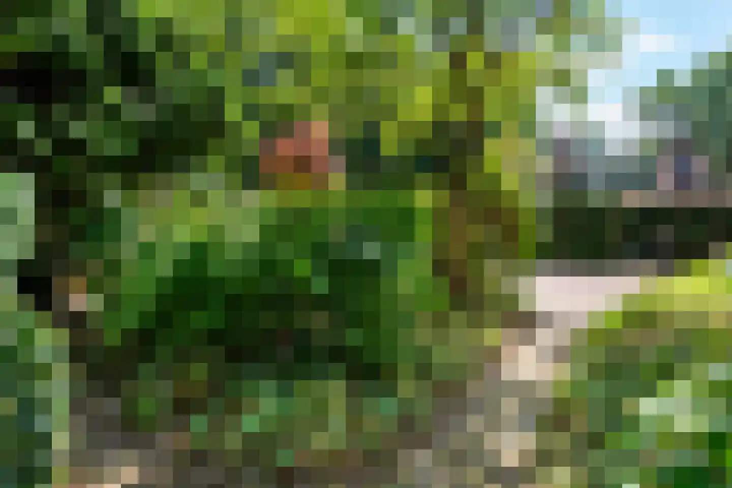 Dreyenseweg 8 A Oosterbeek thumbnail 66