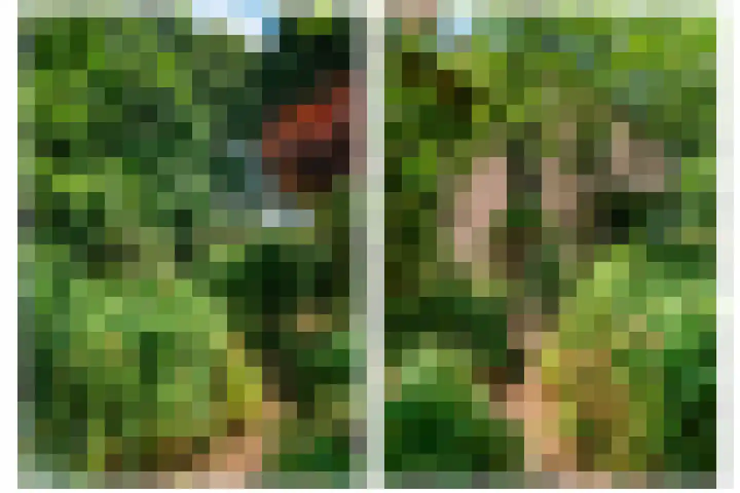 Dreyenseweg 8 A Oosterbeek thumbnail 67
