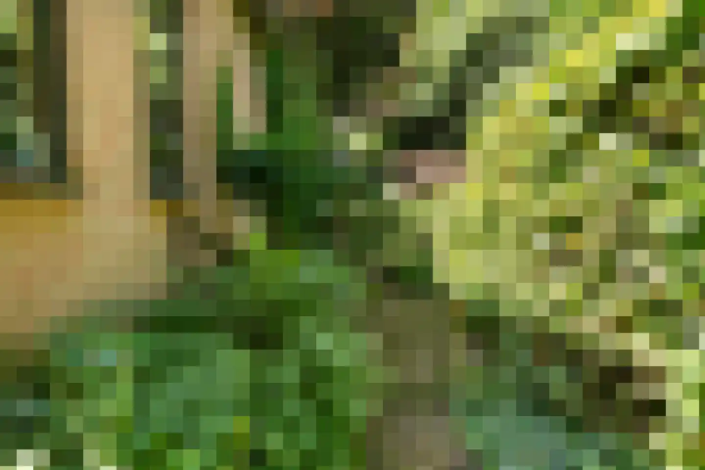 Dreyenseweg 8 A Oosterbeek thumbnail 69