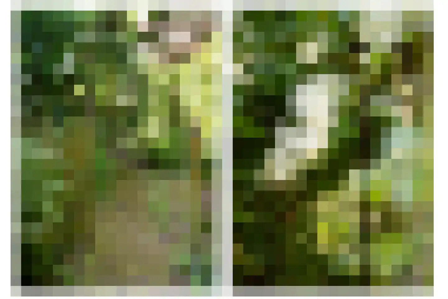 Dreyenseweg 8 A Oosterbeek thumbnail 71