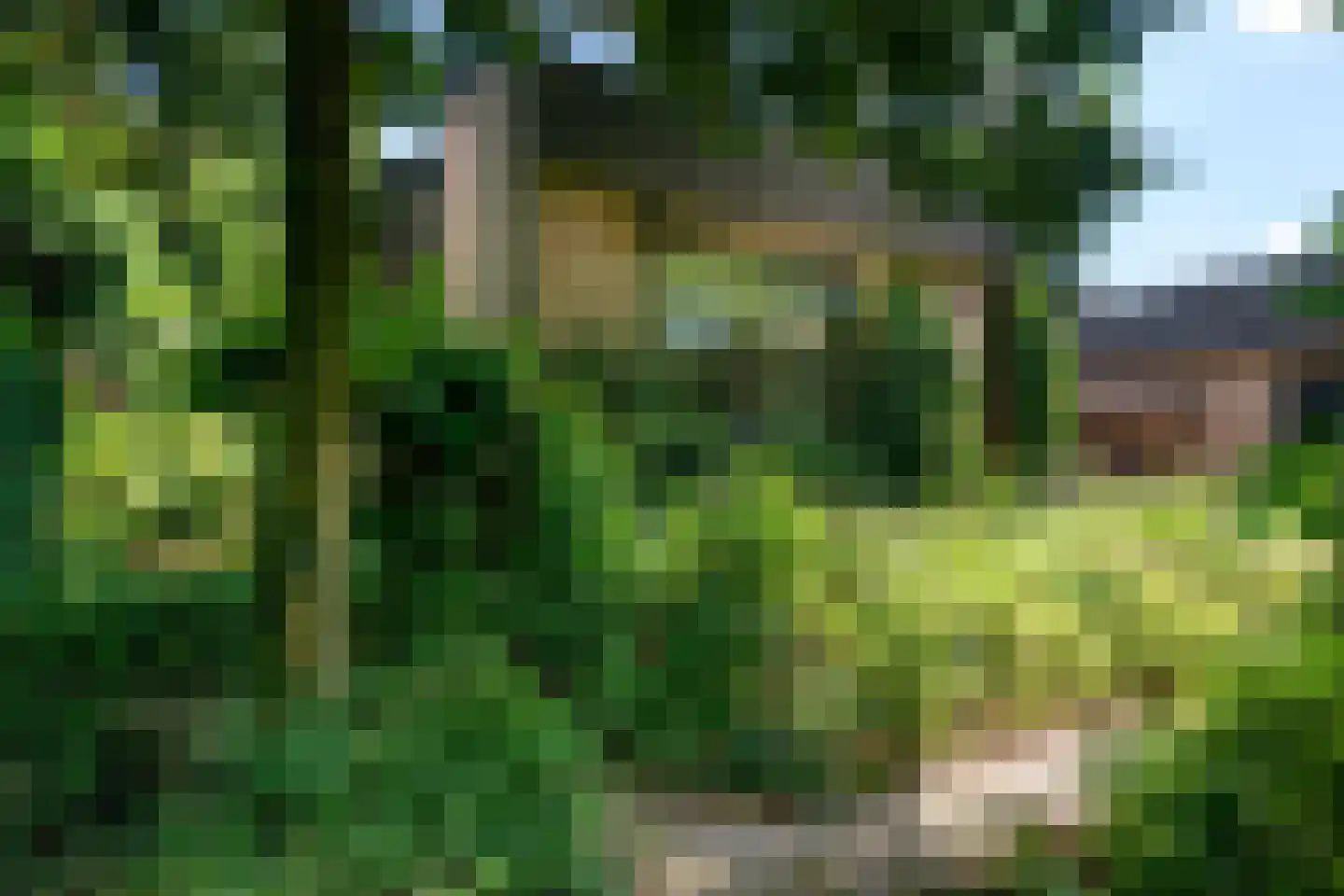 Dreyenseweg 8 A Oosterbeek thumbnail 73