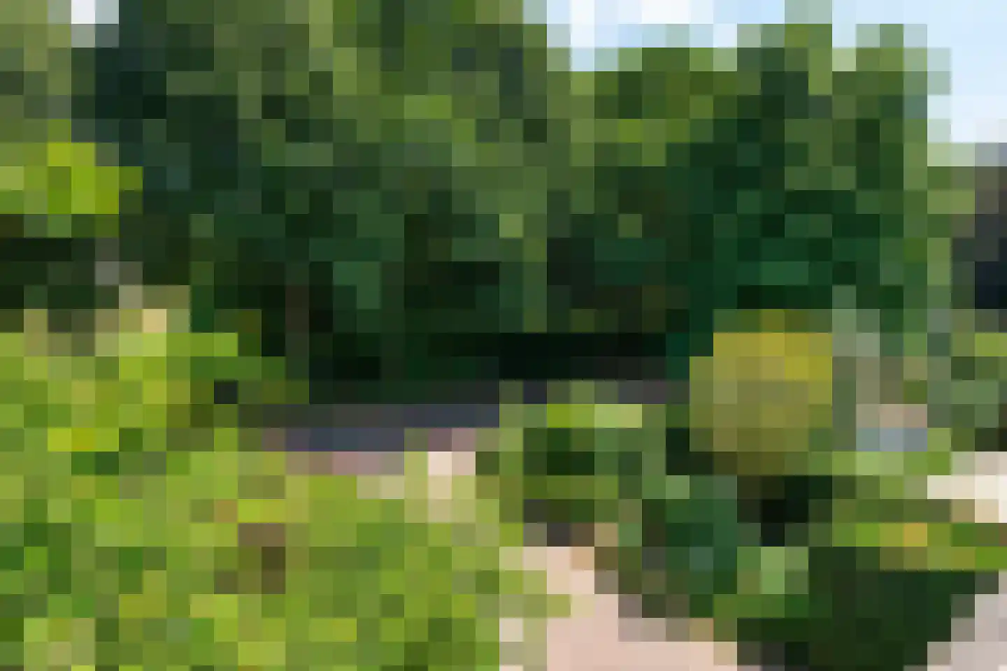 Dreyenseweg 8 A Oosterbeek thumbnail 74