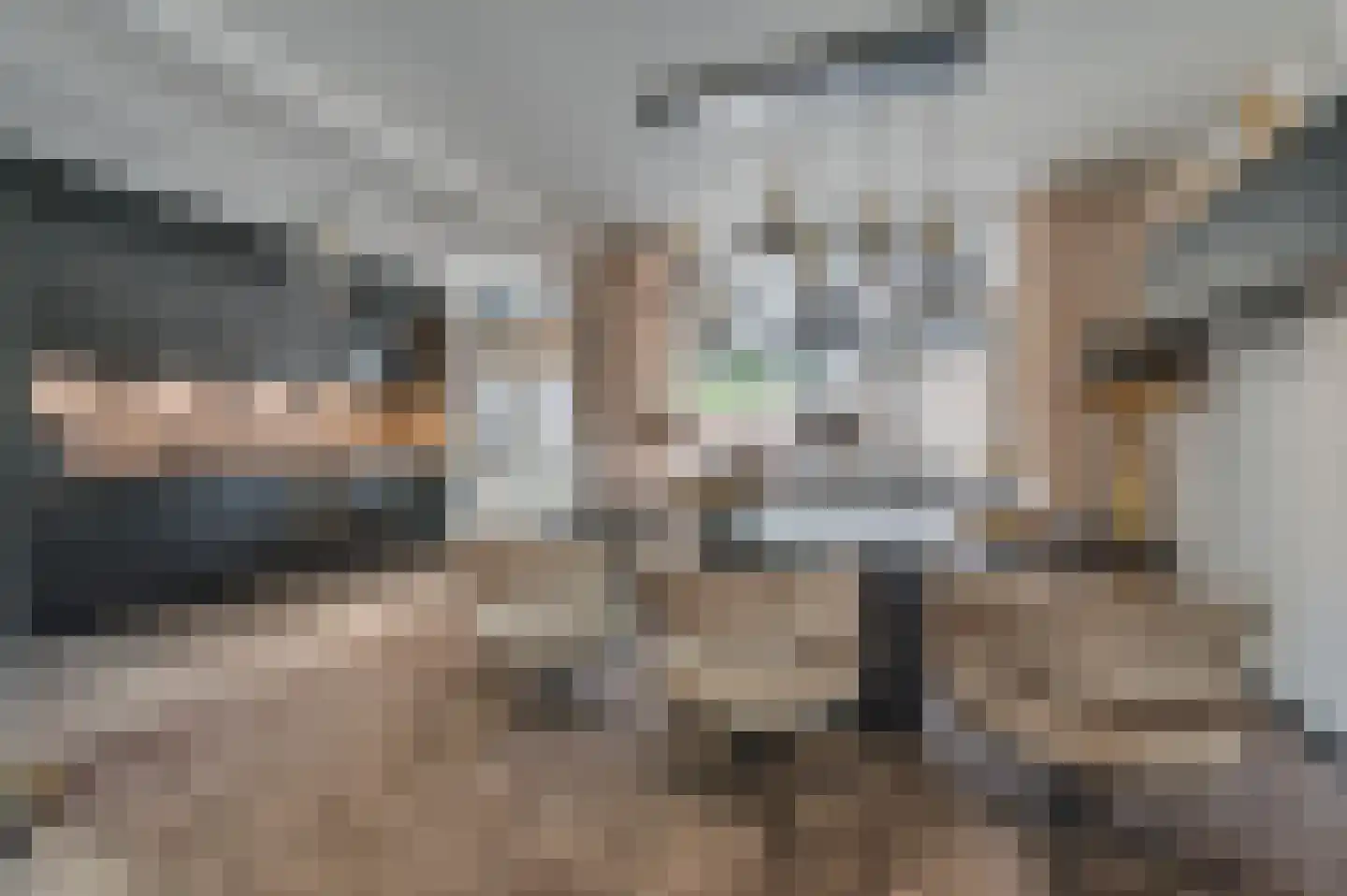 Drie Decembersingel 127 Venlo thumbnail 12