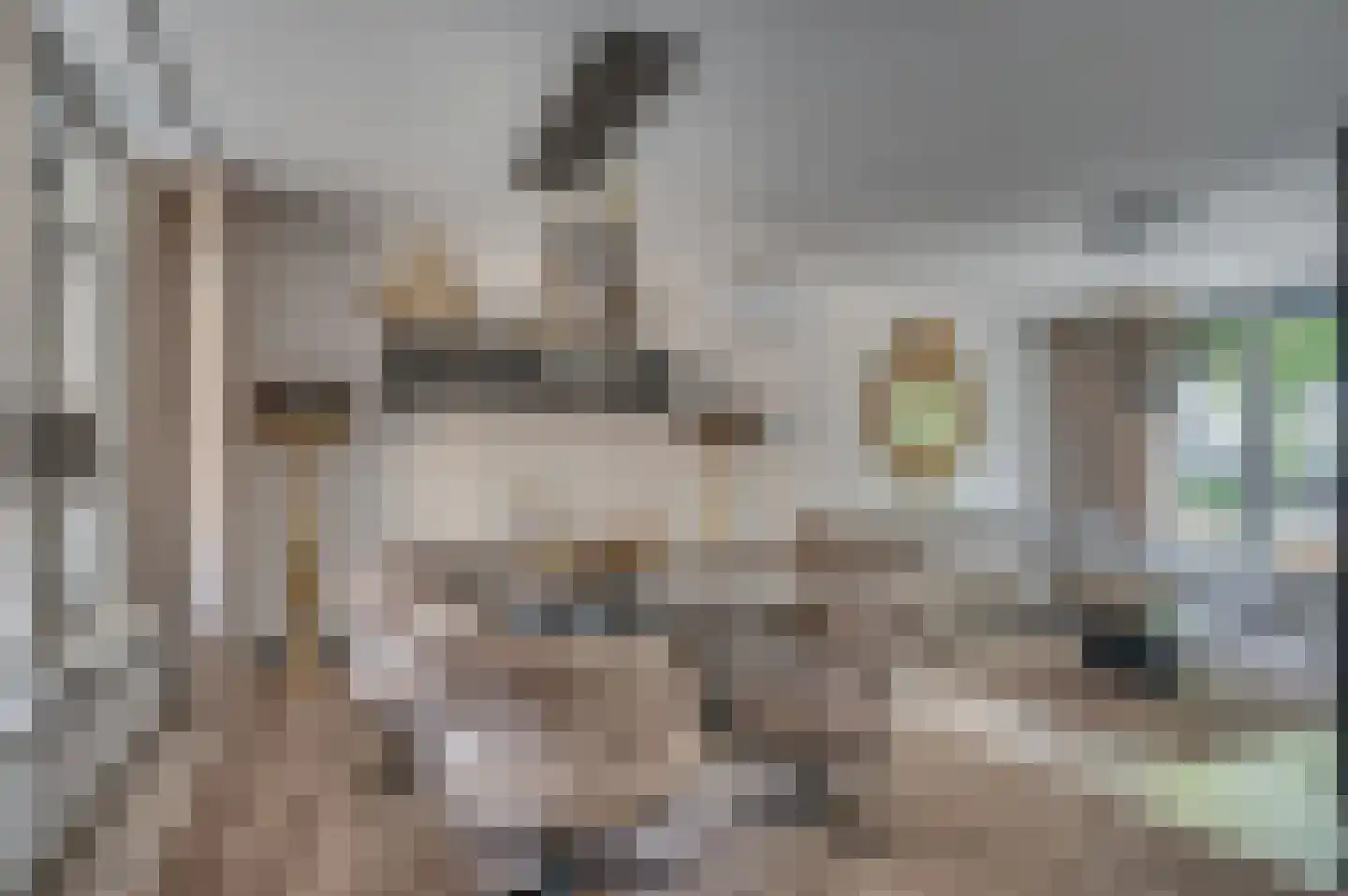 Drie Decembersingel 127 Venlo thumbnail 5
