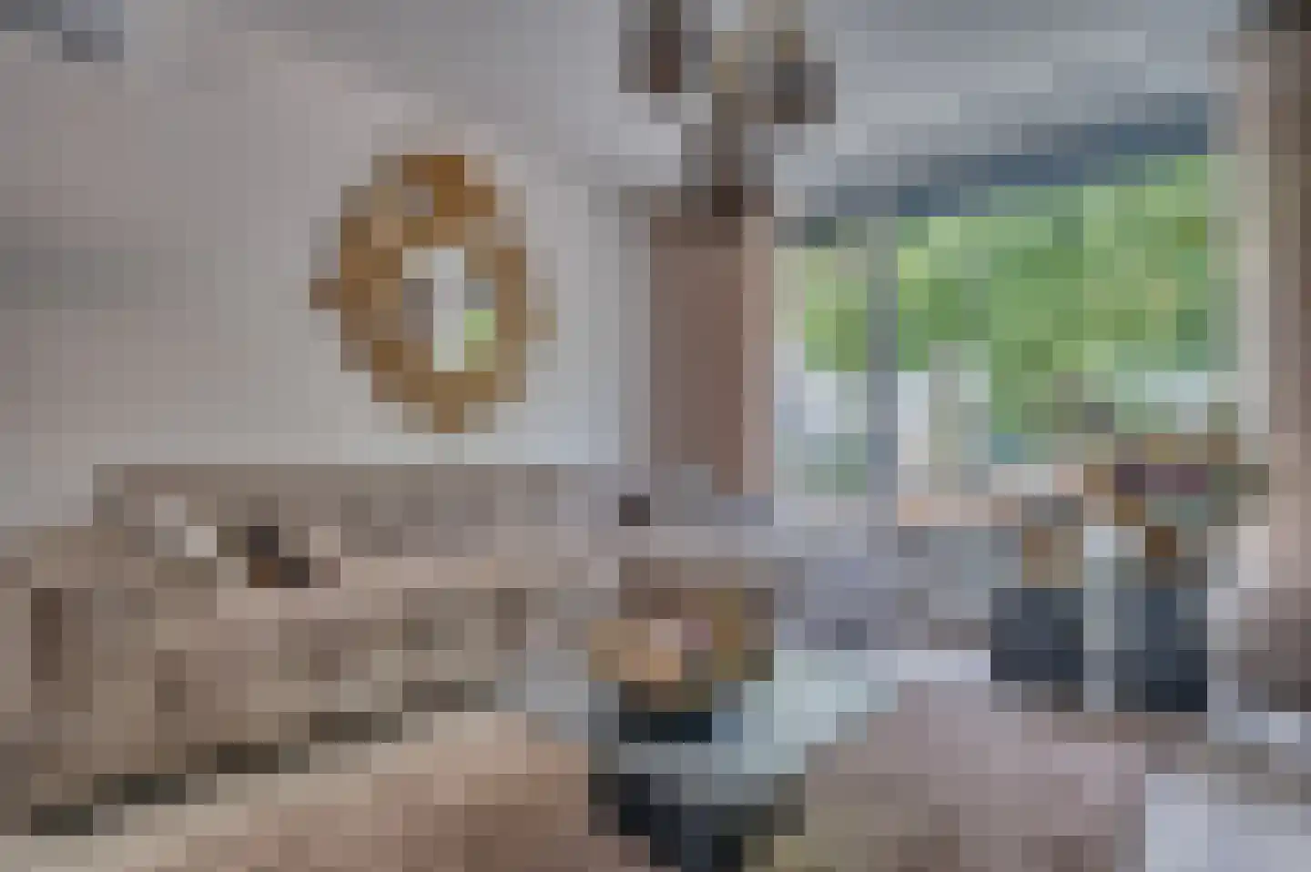 Drie Decembersingel 127 Venlo thumbnail 8