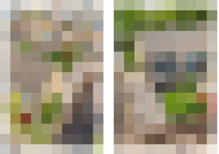 Drie Decembersingel 145 Venlo foto 2