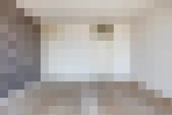 Drie Decembersingel 20 Venlo thumbnail 4