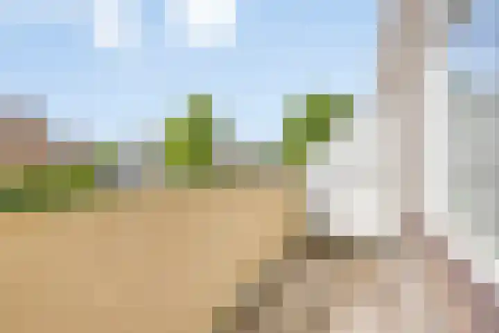 Drie Decembersingel 20 Venlo thumbnail 5
