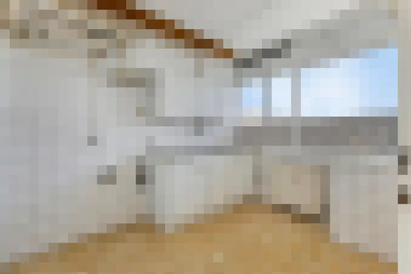 Drie Decembersingel 26 Venlo thumbnail 8