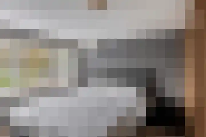 Drie Decembersingel 269 Venlo thumbnail 12