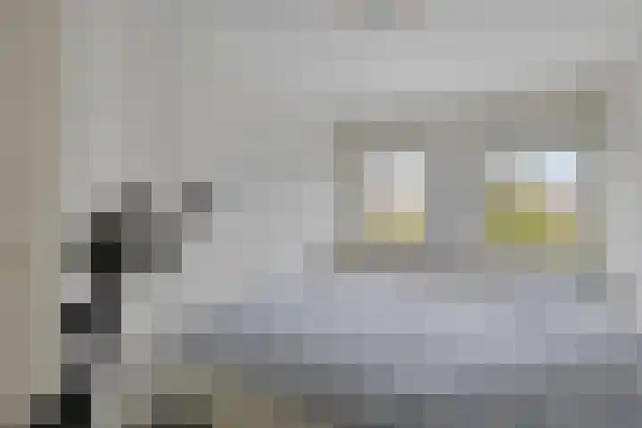 Drie Decembersingel 269 Venlo thumbnail 13