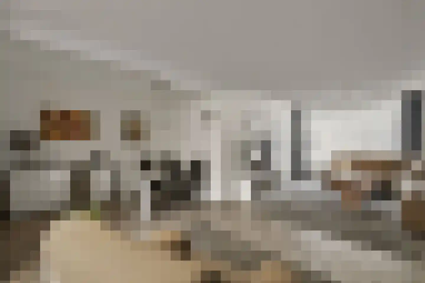 Drie Decembersingel 33 Venlo thumbnail 5