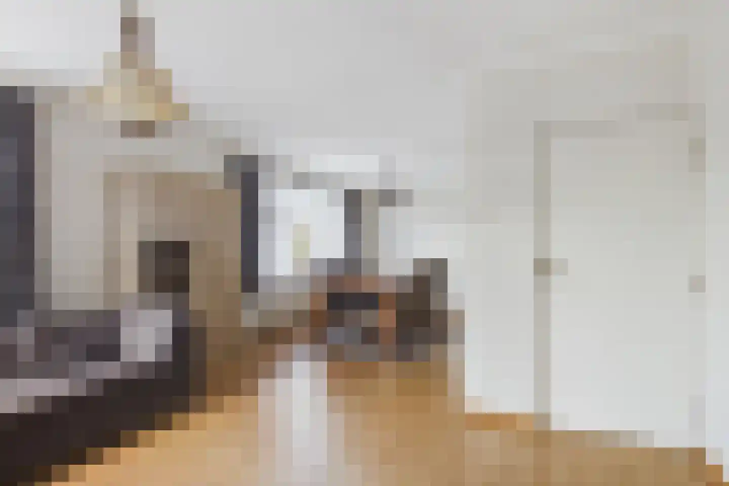 Drie Gezustersdijk 3 Vogelwaarde thumbnail 11