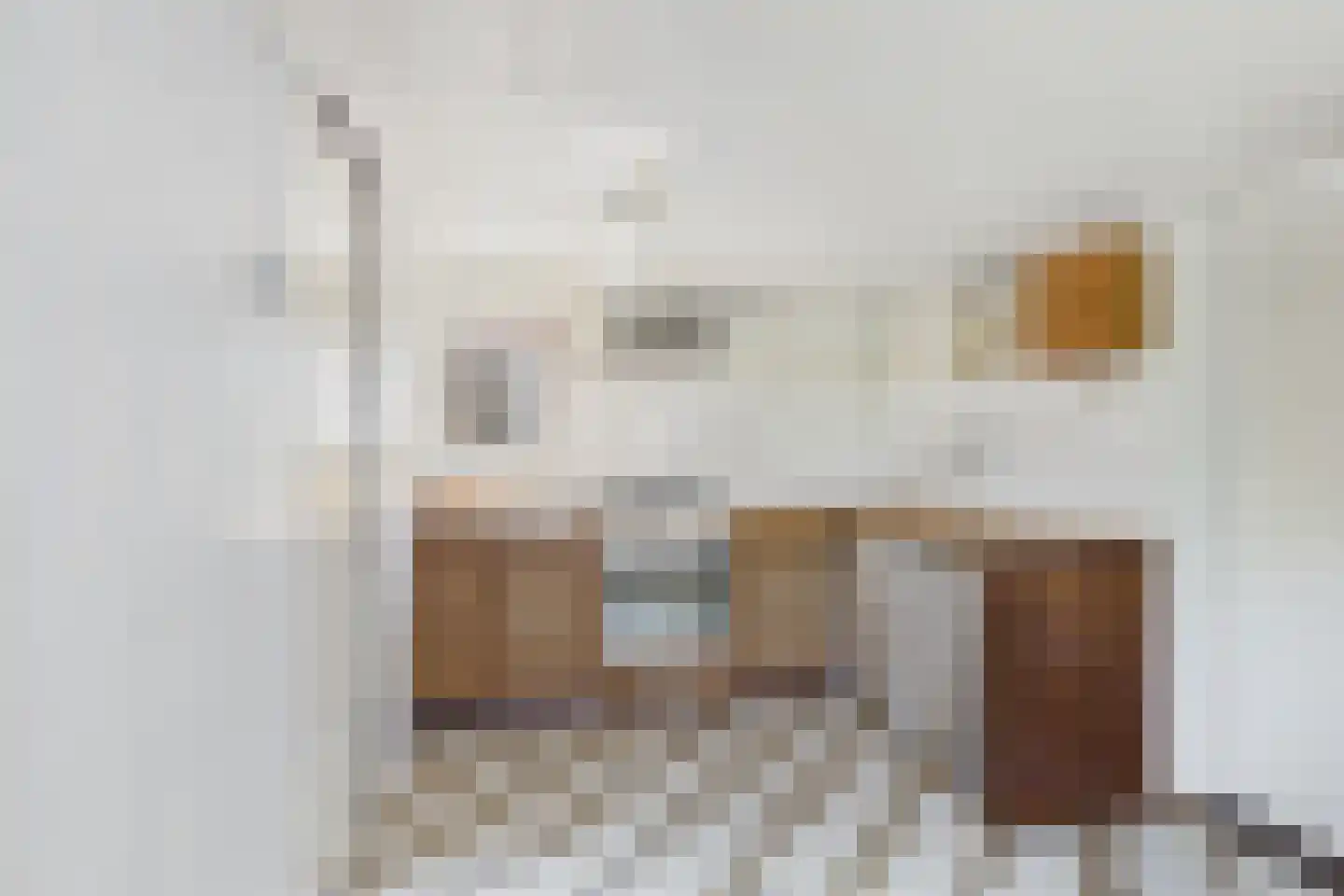 Drie Gezustersdijk 3 Vogelwaarde thumbnail 15