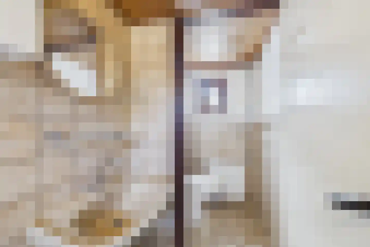 Drie Gezustersdijk 3 Vogelwaarde thumbnail 19