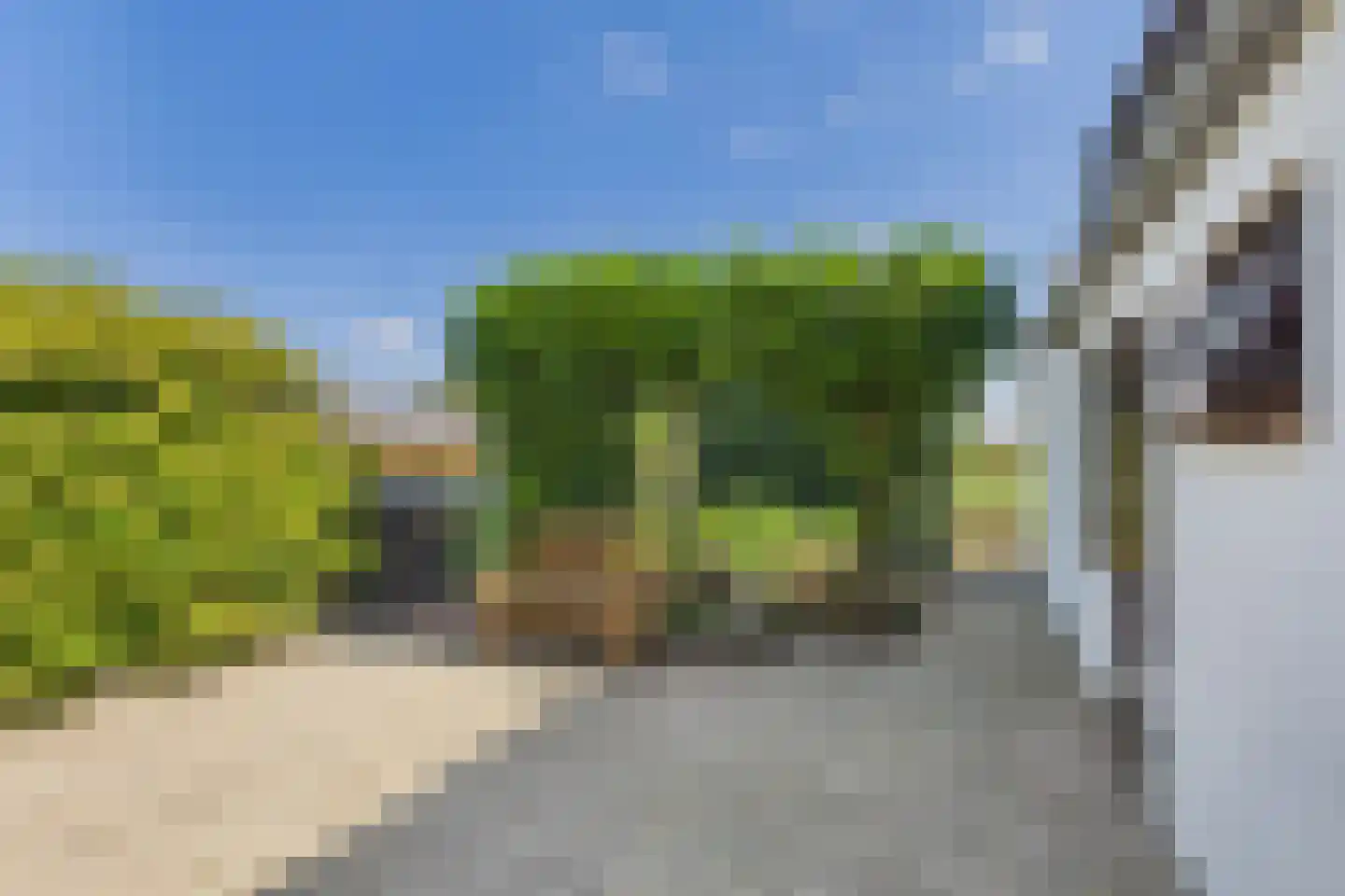 Drie Gezustersdijk 3 Vogelwaarde thumbnail 30