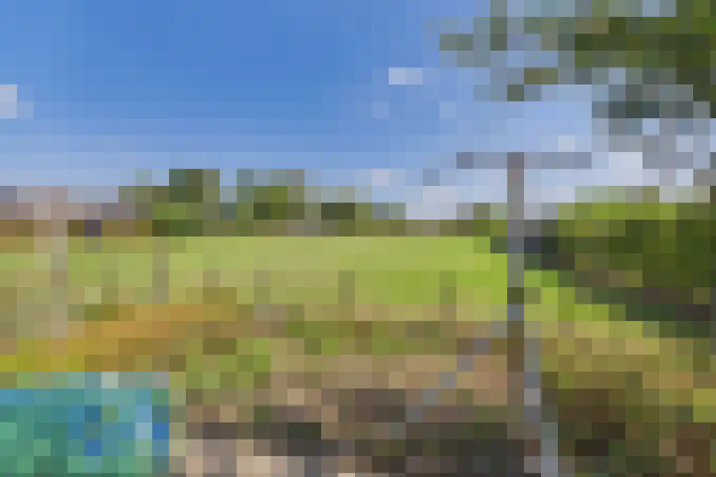 Drie Gezustersdijk 3 Vogelwaarde thumbnail 31