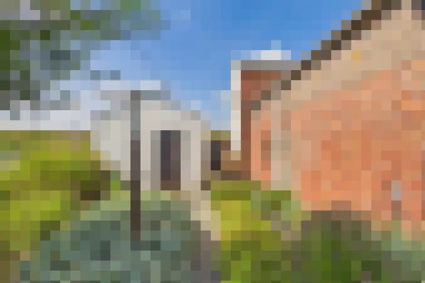Drie Gezustersdijk 3 Vogelwaarde thumbnail 32